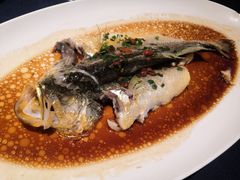 -维园悦谱·海派家常菜(乌鲁木齐南路店)