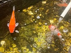-印湘·剁椒鱼头(安宁庄店)