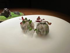 -觀芷隐轩