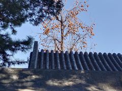 -颐和园