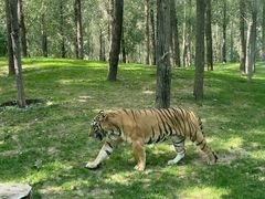 -北京野生动物园