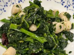 山野菜拌鲜贝丁-必点海鲜·海肠捞饭·鲅鱼水饺(滨江道店)