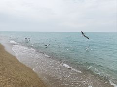 -青海湖二郎剑景区
