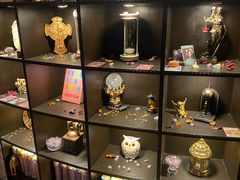 -雪灵魔法世界SHELLY’S TAROT(大良桂畔里店)