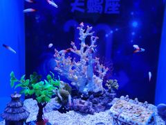 -上海海昌海洋公园