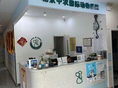 -中农国际动物医院24小时·猫科·骨科·急重症中心