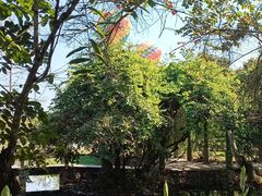 -中国科学院西双版纳热带植物园
