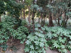 -苏州河梦清园环保主题公园