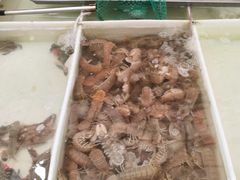 -毕家疃综合市场