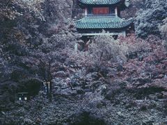 -岳麓山风景名胜区