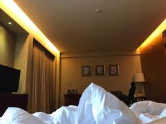 -汕尾巴黎半岛酒店