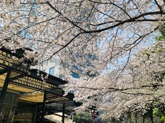-玛格萝妮比萨屋(四平店)