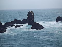 -涉地可支