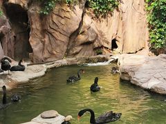 -燕塞湖鸟语林景区