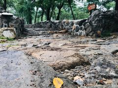 -阳台山自然风景区