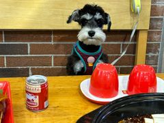 -袁记串串香(川师店)