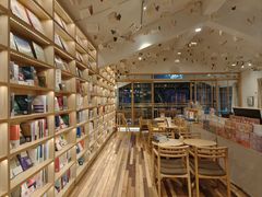 -猫的天空之城概念书店(束河店)
