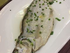 -明珠湖天鹅苑·农家菜馆