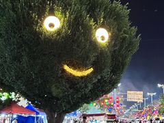 -特克斯八卦城
