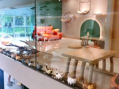 -飞行喵MR PILOT|猫舍·猫咖(静安大融城店)