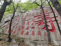 -沂蒙山旅游区龟蒙景区