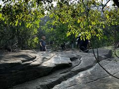 -南山植物园