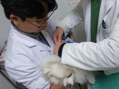 -宠颐生汉谟拉比宠物医院