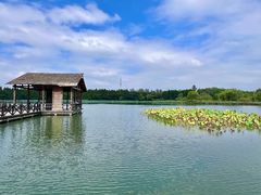 -溱湖国家湿地公园