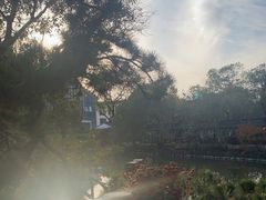-上海醉白池公园