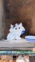 -故事馆手作综合体验馆