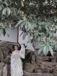 -八角古风摄影
