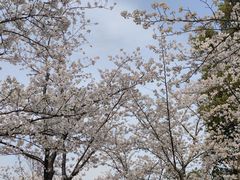 -广富林郊野公园