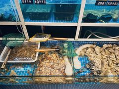 -金龙·打边炉(南京西路店)