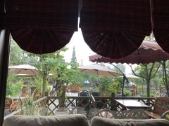 -森居forest休闲咖啡聚集地