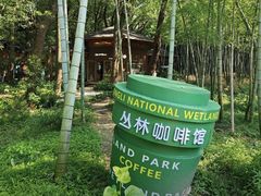 -同里国家湿地公园