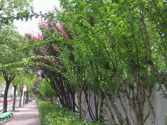 周边环境-必胜客(百联又一城店)