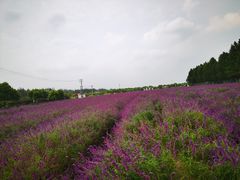 -嘉北郊野公园