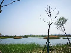 -嘉北郊野公园