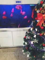 -传世玉颜专业祛痘·问题肌