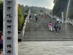 -铁山坪森林公园