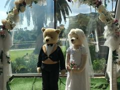 -济州岛泰迪熊博物馆