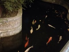 -新世纪大酒楼·30年南海菜