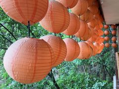 -伴山茶苑·围炉煮茶