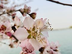 -颐和园