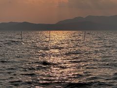 -捞渔河湿地公园
