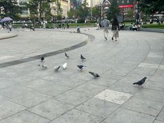 -大连人民广场