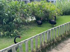 -厦门国家会计学院