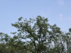-文瀛公园