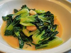 -子福慧(虹桥店)