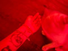 -饮湖威士忌鸡尾酒吧